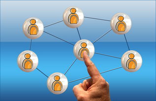 JiuyouAPP下载-俱乐部推出粉丝互动日 活动促进社区联系，粉丝互动活动方案